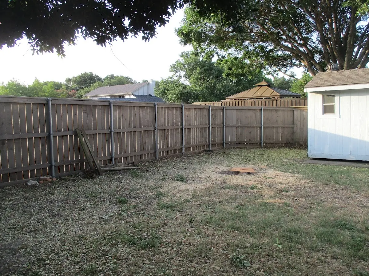 Cleared yard after professional tree removal in Midwest